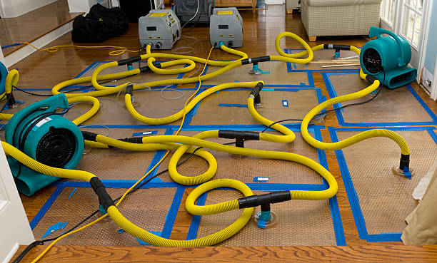 Professional Basement Flood Cleanup technician working in Red Bank, NJ